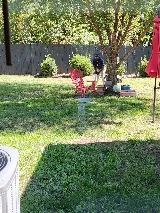 Rottler Pest Solutions photo 4