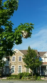 A to B Pest Control LLC photo 7