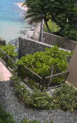 Personal Touch Landscape photo 8