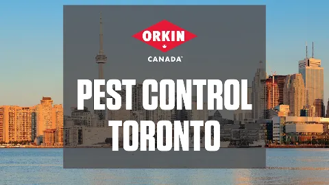 Orkin Canada Pest Control photo 1