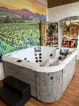 Santa Rosa Hot Tubs photo 5