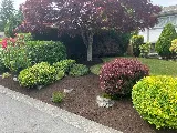 TOMEI Landscaping Ltd photo 4