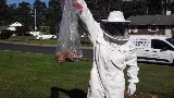 City & Suburbs Pest Control,LLC photo 6