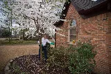 Allied Termite & Pest Control photo 3