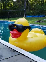 Jimmie's Pool Water Service photo 2