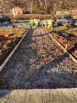 LG CONSTRUCTION SERVICES LLC