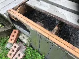 A2Z Pest Control photo 4