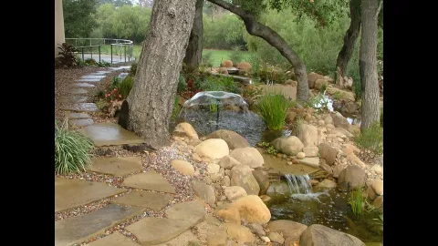 The Promised Landscape Inc photo 1