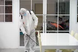 Reliable Pest Control Paterson Crew photo 8