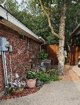 Trimmers Professional Landscaping photo 8