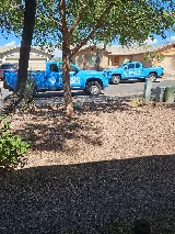 Moxie Pest Control photo 3