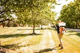 Mosquito Hero photo 3