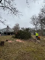 Mass Landscaping & Snow photo 7