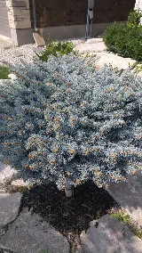 Utah Wildflower Company photo 4