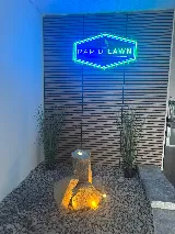 Rapid Lawn Landscape Solutions Ltd. photo 5