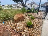 Vision Landscaping photo 7