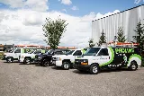 Proline Electric
