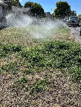 Green Salt Lake Landscaping photo 6