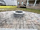 Turf Dogs photo 8