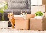 Coastal Furniture Delivery and Moving photo 8