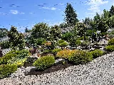 Drake's 7 Dees Landscaping and Garden Center photo 2