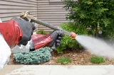 NEWMANS PEST CONTROL photo 5