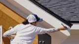 That 1 Painter Knoxville photo 7