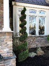 Sea Breeze Landscaping Ltd photo 7