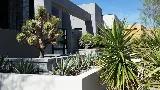 Paradise Landscaping Las Vegas photo 7
