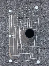 Acme Pest Solutions photo 6
