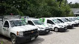 JP Pest Services photo 4