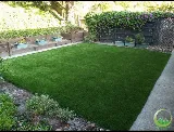 Greener Land photo 2