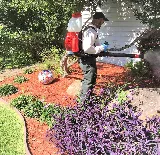 Charles Pest Control Services Inc. photo 3