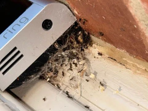 EnviroGuard Pest Control photo 1