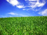 Mueller Landscape Inc photo 6