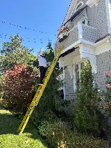 911 Exterminateur Longueuil photo 5