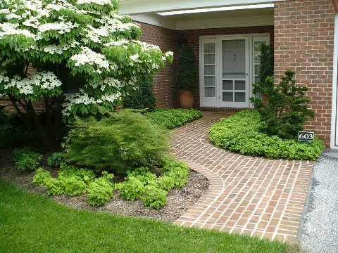 Maxalea, Inc. photo 1