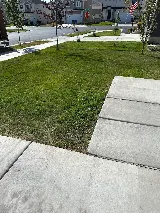 Prime Pest and Lawn photo 6