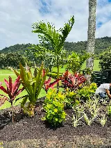 Oceanic Landscaping photo 8
