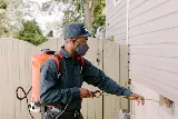 Fox Pest Control Lubbock
