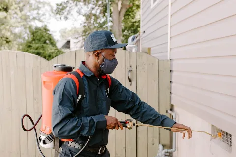 Fox Pest Control Lexington in Lexington