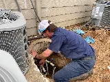 Duvall Plumbing Heating and Cooling photo 8