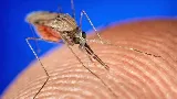 Truckee Meadows Pest Control photo 7
