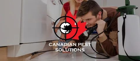 Canadian Pest Solutions photo 1