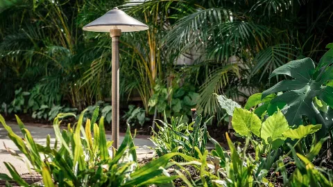 Oceanic Landscaping in Honolulu