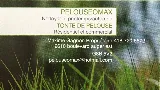 Pelouseomax Inc photo 3
