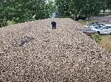 Wegner Roofing & Solar photo 8