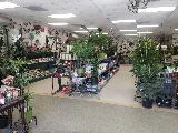 Green Landscape Nursery photo 8