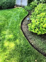 Cardinal Green Landscaping photo 3