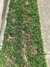 J&R Lawn And Landscape LLC photo 8